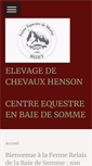 Mobile Screenshot of chevalhenson.fr